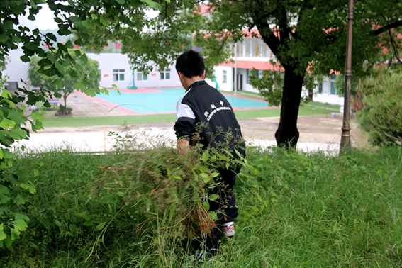 夏天到啦，来拔草啦！