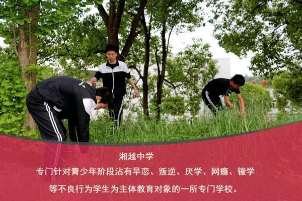 青少年教育学校地址（在线求助）